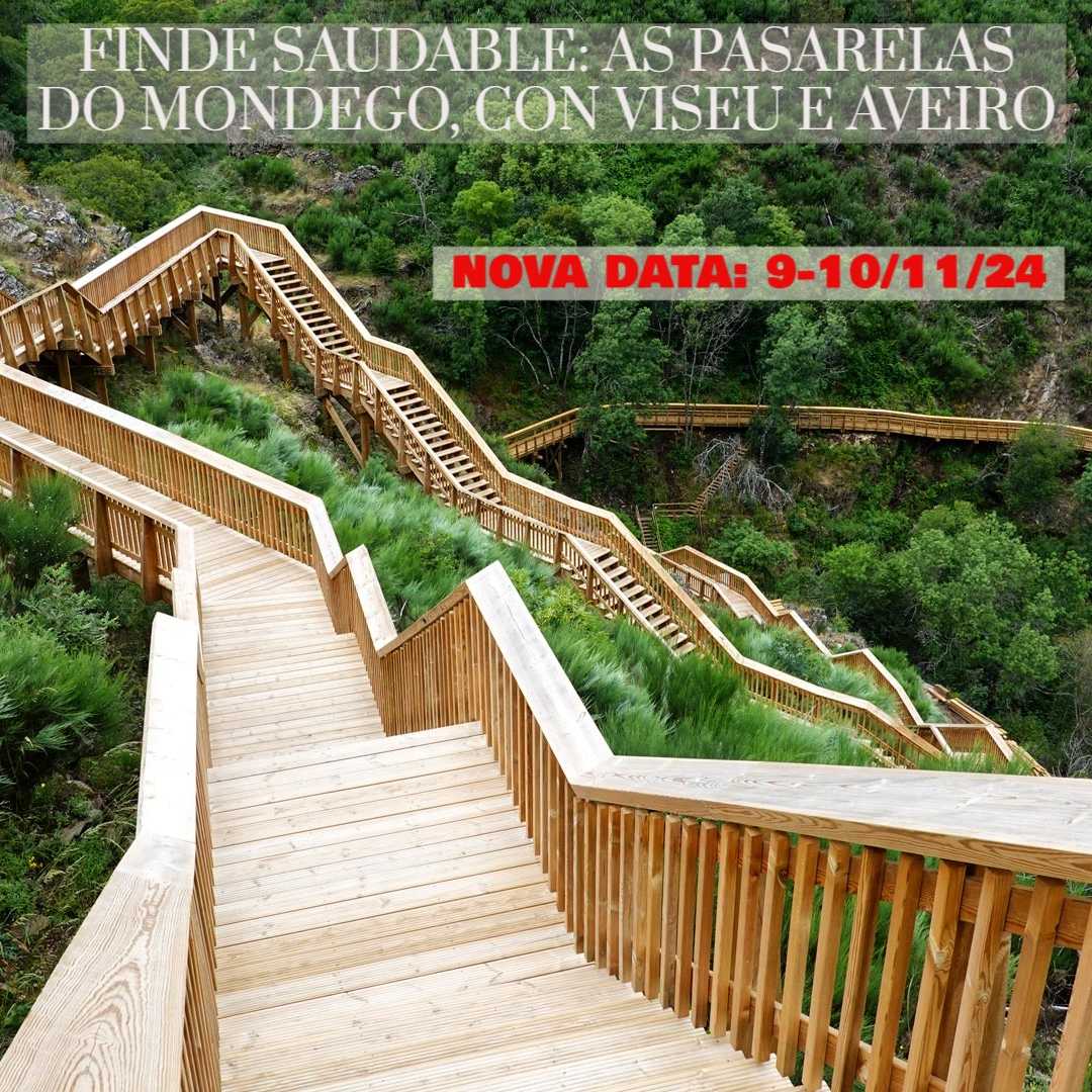 FINDE SAUDABLE: AS PASARELAS DO MONDEGO, CON VISEU E AVEIRO